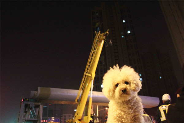 Betway������(����ķ��)�ٷ���վ-Official website