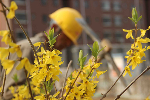 Betway������(����ķ��)�ٷ���վ-Official website